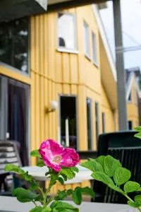 Ferienhaus Mirow 66 - Retzow