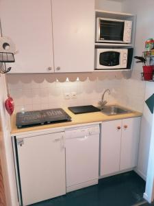 CŒUR DALTAÏR RISOUL 1850 Appartement T2 confortable skis aux pieds