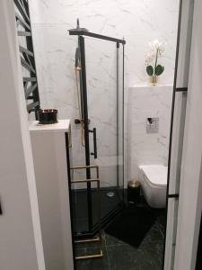 Apartament Czarny z Jacuzzi