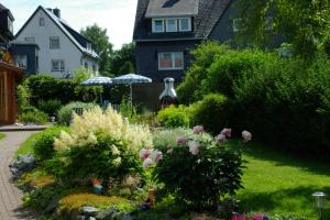 Haus Elsholz Usseln FeWo Birke