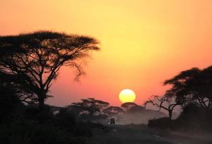 Luxury Simba House in Watamu [ ☆☆☆☆☆ ]