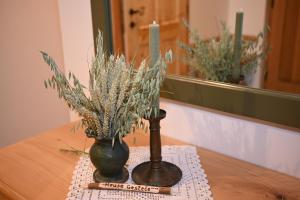 SLO-ETNO HOUSE GOSTECE-Vintage Apartma