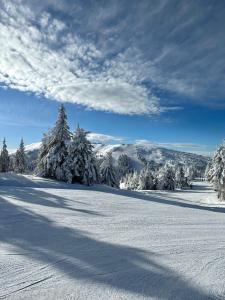 Woodside Residences & SPA