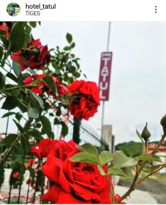 Hotel Tatul
