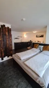 Exklusives und zentrales Wohnen direkt am Marktplatz - 阿尔布斯塔特