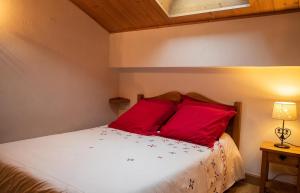 Appartements GITE BALNEO LES AMARYLLIS : photos des chambres