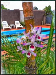 Complejo Solar Del Iguazu 2