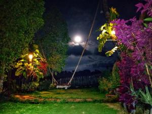 Eco Hut by Valley and 7 Waterfalls