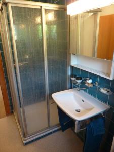 Apartment - Ground Floor room in Chalet Aebnetbode