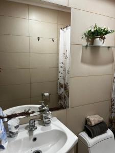 OLMUE Hospedaje verano