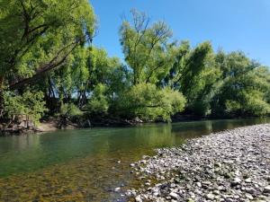 Alexandra Parklife Deluxe Studio 2