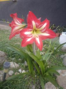 Hostel El Refugio de Las Aves