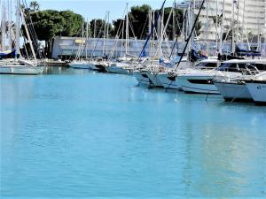 Studio rénové cosy à 50m de la plage - FR-1-252A-96