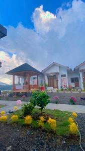 Madinna Villa Dieng