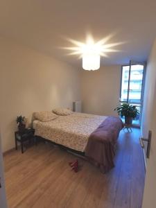 FLC - 3 Bedrooms -Max 10 guests - Gare St Charles 1,5km Hyper Center