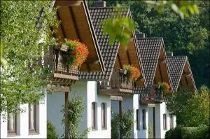 Ferienpark Rursee - نيديغن