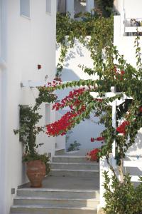 Perigiali Skyros Greece