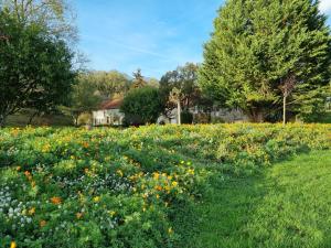 B&B / Chambres d'hotes Roulotte panoramique du Moulin : photos des chambres