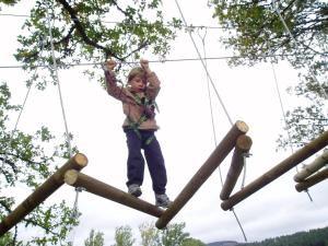 Motels Les Chalets de la MARGERIDE : photos des chambres