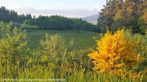 Motels Les Chalets de la MARGERIDE : photos des chambres