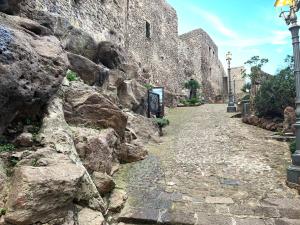 Owen Home Holiday img53