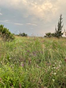 Mount High Luxury Stables