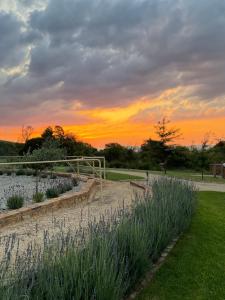 Mount High Luxury Stables
