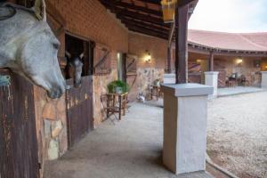 Mount High Luxury Stables