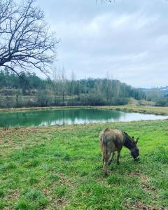 Maisons de vacances Le bon chemin Studio Stockholm : photos des chambres