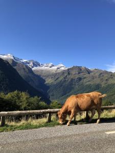 Beau studio plus, tout confort, classé 3 étoiles par le comité départemental du tourisme de la Haute Garonne