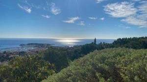 VUE MER EXCEPTIONNELLE - GRANDE TERRASSE et PISCINE
