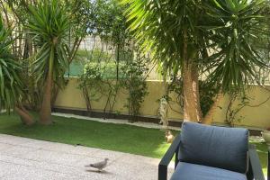 Appartements Front Sea apartment, 2 Rooms with 2 gardens : photos des chambres