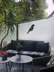 Sea Garden Apartment