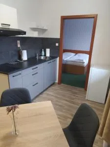 Wellness Penzion Kotár - 大卡尔洛维采