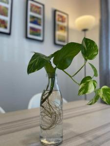 Geysotur Puerta de la Axerquía Parking Gratis