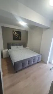 Ego Rezidence 20 - Baciu