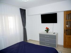 Apartament David