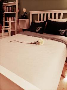 Bright & Calm Grand Studio -La Villette Paris- Near Metro