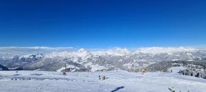 Appartements Magnifique appartement dans luxueux chalet - ARAVIS : photos des chambres