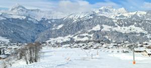 Superbe appartement dans luxueux chalet Mt Charvin