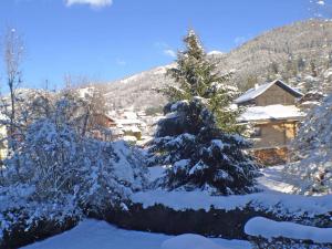 Studio cosy centre village, animaux admis, parking privatif - FR-1-629-66