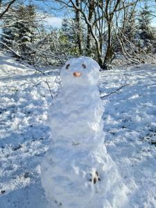 Pilgrims "Rosalie" große Fewo mit 3 Schlafzimmern, 1Bad, 2 WC, Balkon, fast Internet