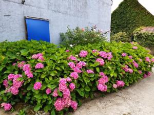 Maisons de vacances Au bocage parfume Gite de la Ciflorette*** : photos des chambres