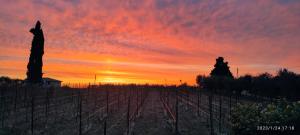 Appartamenti a Bardolino