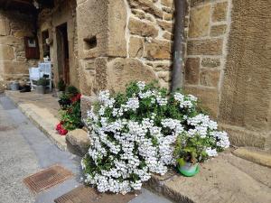 Casa Laudina y Armando