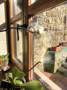 Casa Laudina y Armando