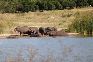 JakkalsDraai River Bush Lodge
