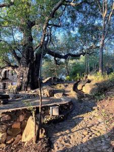 JakkalsDraai River Bush Lodge