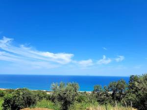 Appartamento Rosmarino