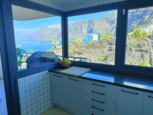 Luxury Los Gigantes Apartment